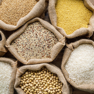 Varieties of Grains Seeds and Raw Quino